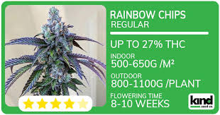 Exploring the Best Marijuana Seeds Nevada Has to Offer 1